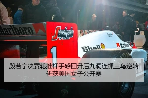 yin-ruo-ning-jue-sai-lun-tui-gan-shou-gan-hui-sheng-hou-jiu-dong-lian-zhua-san-niao-ni-zhuan-zhan-huo-mei-guo-nv-zi-2-737.jpg